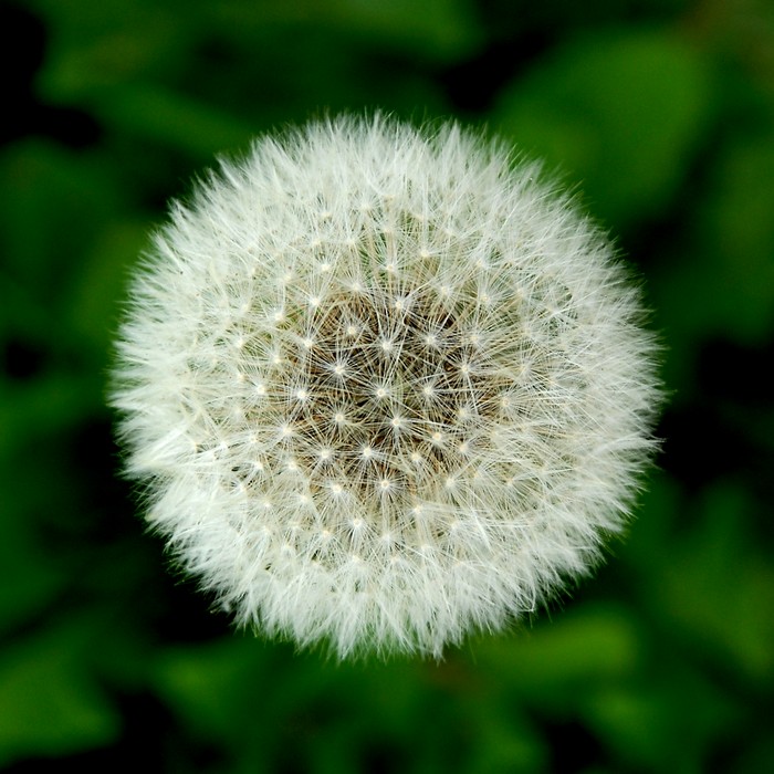 DS1_6617b
