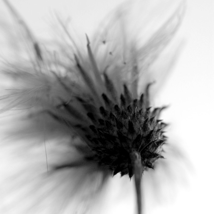 DS1_7869