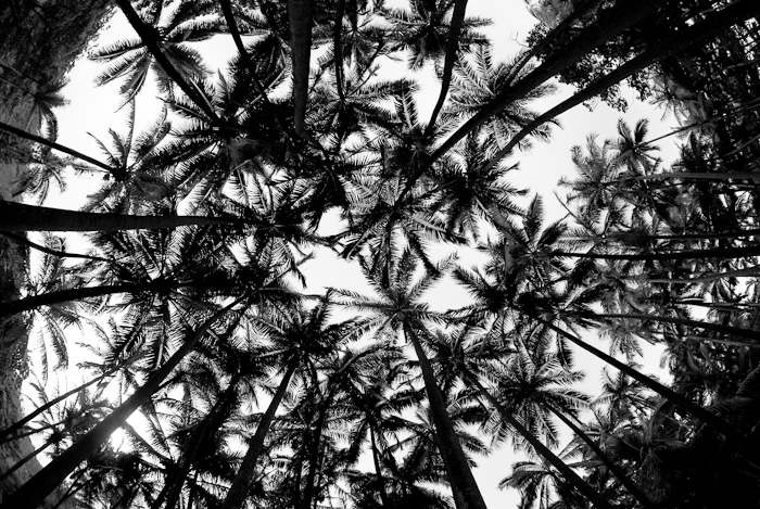 DS3_9387-Modifier