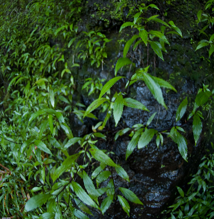 DS3_9767
