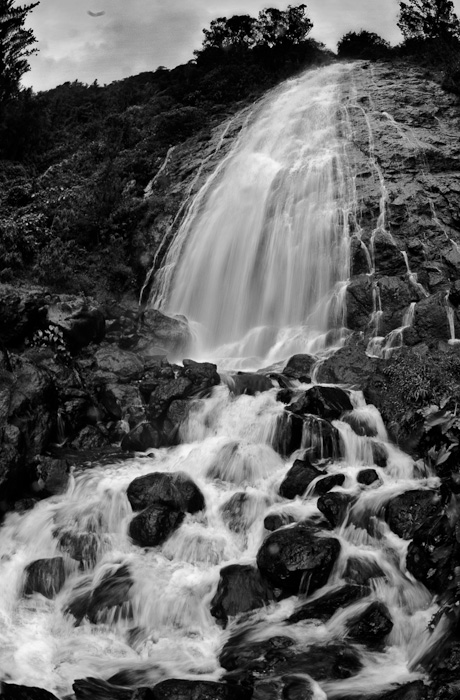 DS4_0106 copie